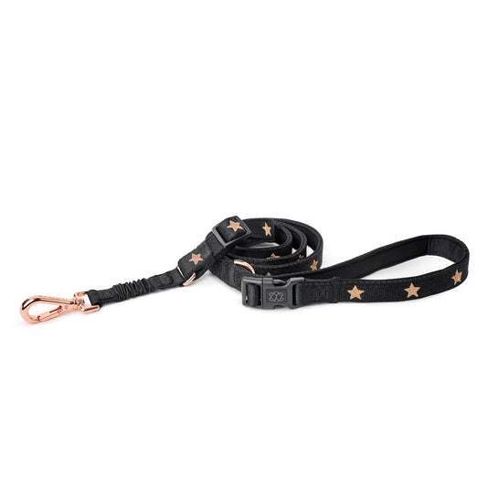 3-in-1 City Dog Leash - Rockstar Dogistry™