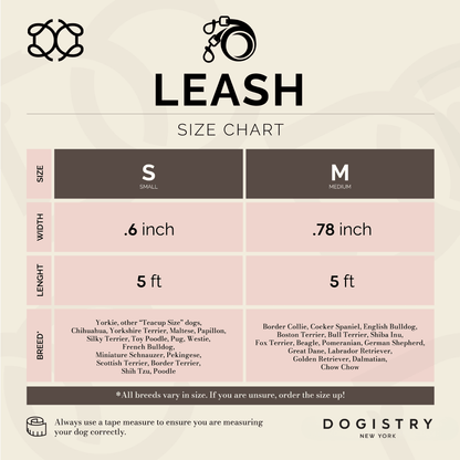 3-in-1 City Dog Leash - Ocean Dogistry™