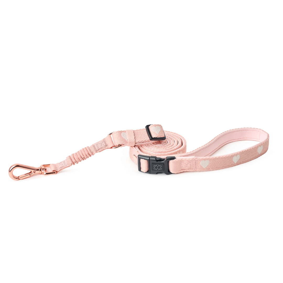 3-in-1 City Dog Leash - Sweetheart Dogistry™