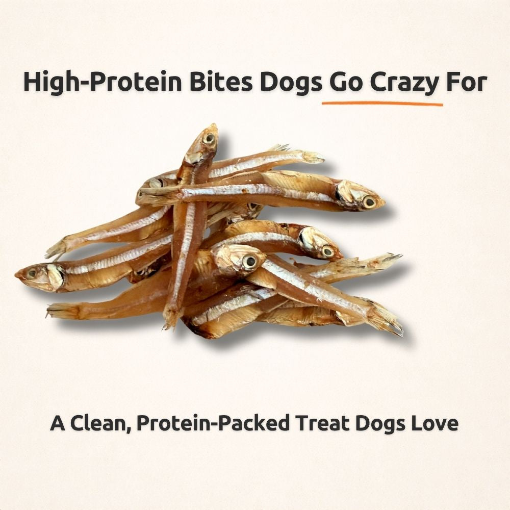 Freezbone Sprats Dog Treats - Single ingredient High Protein  (Value Size 8 oz)