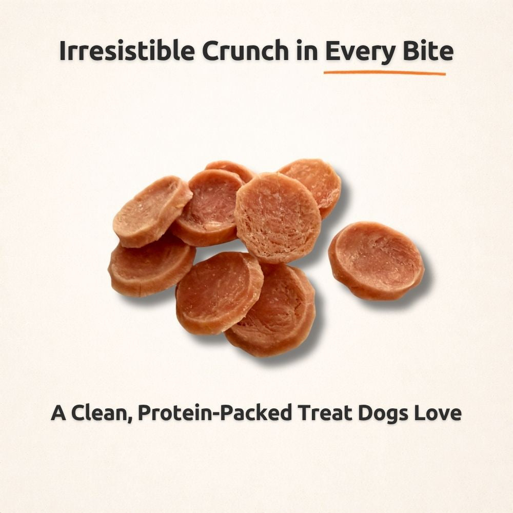 Freezbone Chicken Chips Dog Treats – Single Ingredient High Protein (Value Size 8 oz)