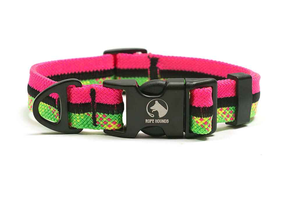 Adventure Dog Collar - Multicolor