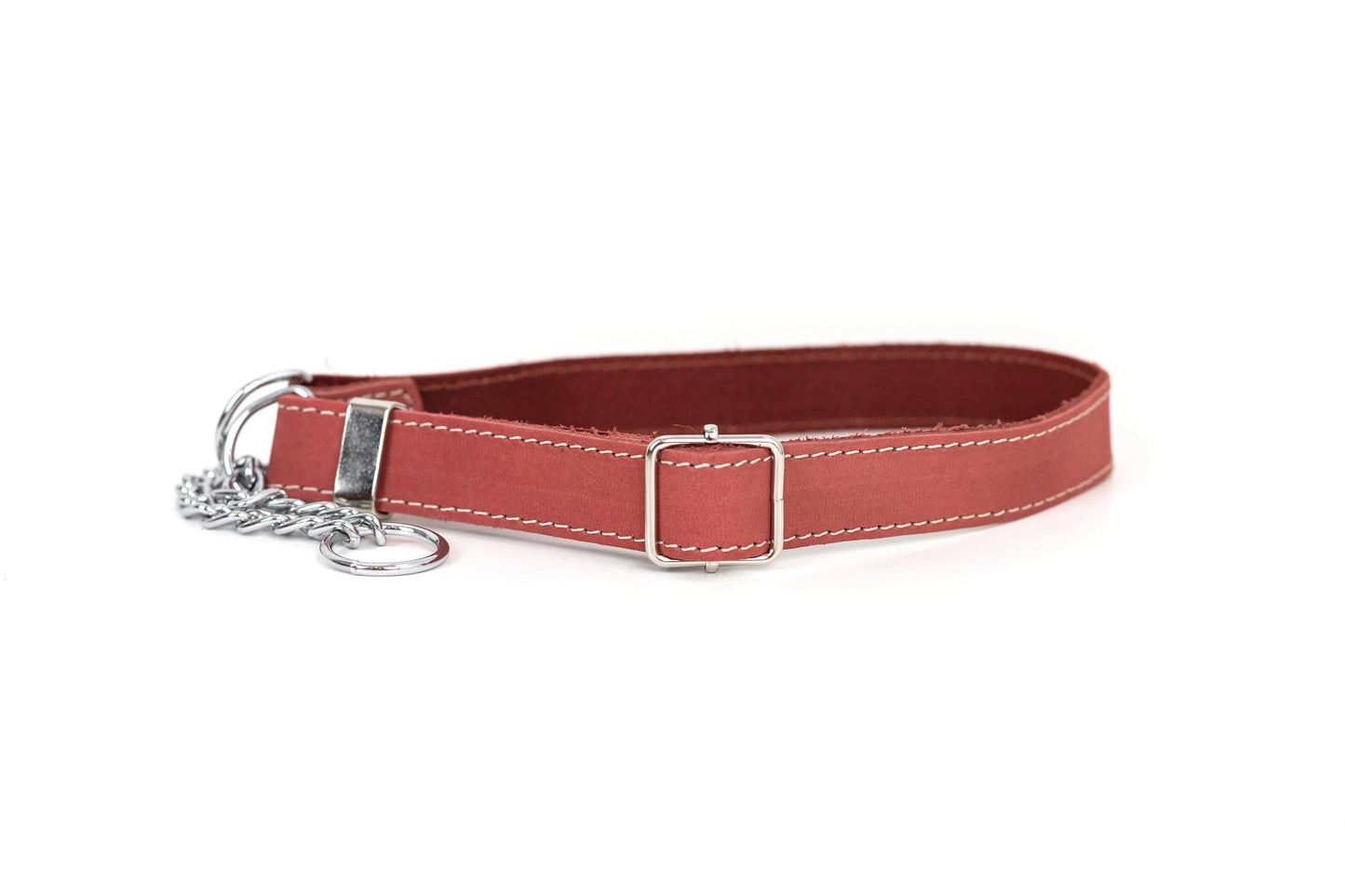 Martingale Coral Reef Leather Dog Collar Euro-Dog Collars and Leads