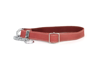 Martingale Coral Reef Leather Dog Collar Euro-Dog Collars and Leads
