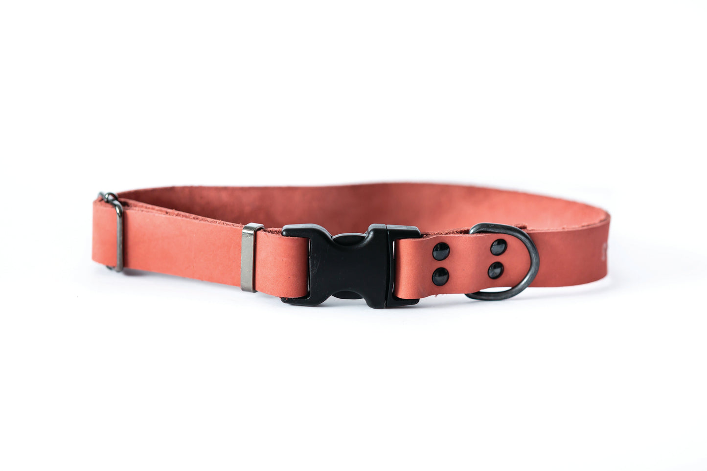Sport Style Coral Reef Leather Dog Collar Euro-Dog Collars and Leads