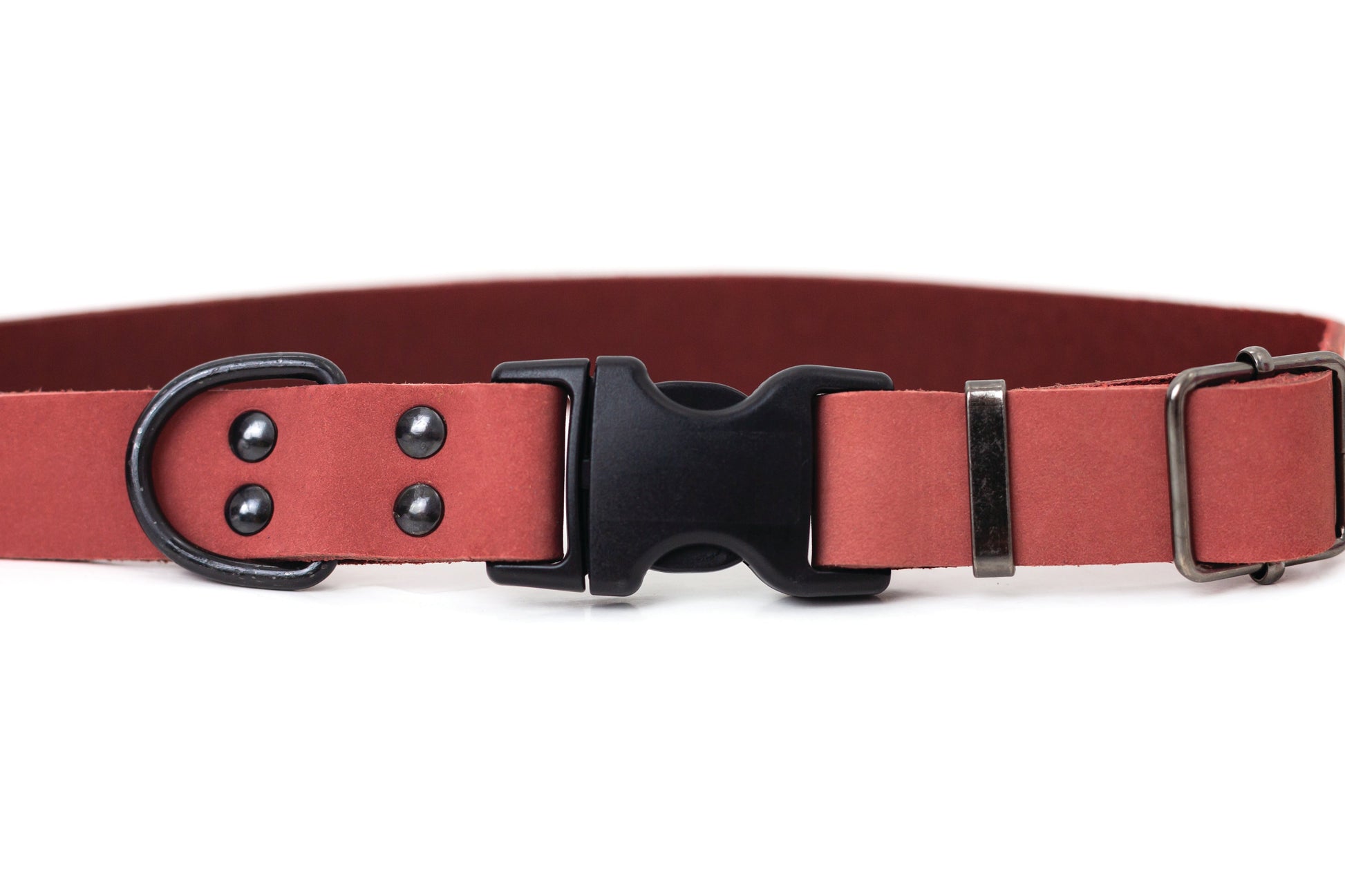 Sport Style Coral Reef Leather Dog Collar Euro-Dog Collars and Leads