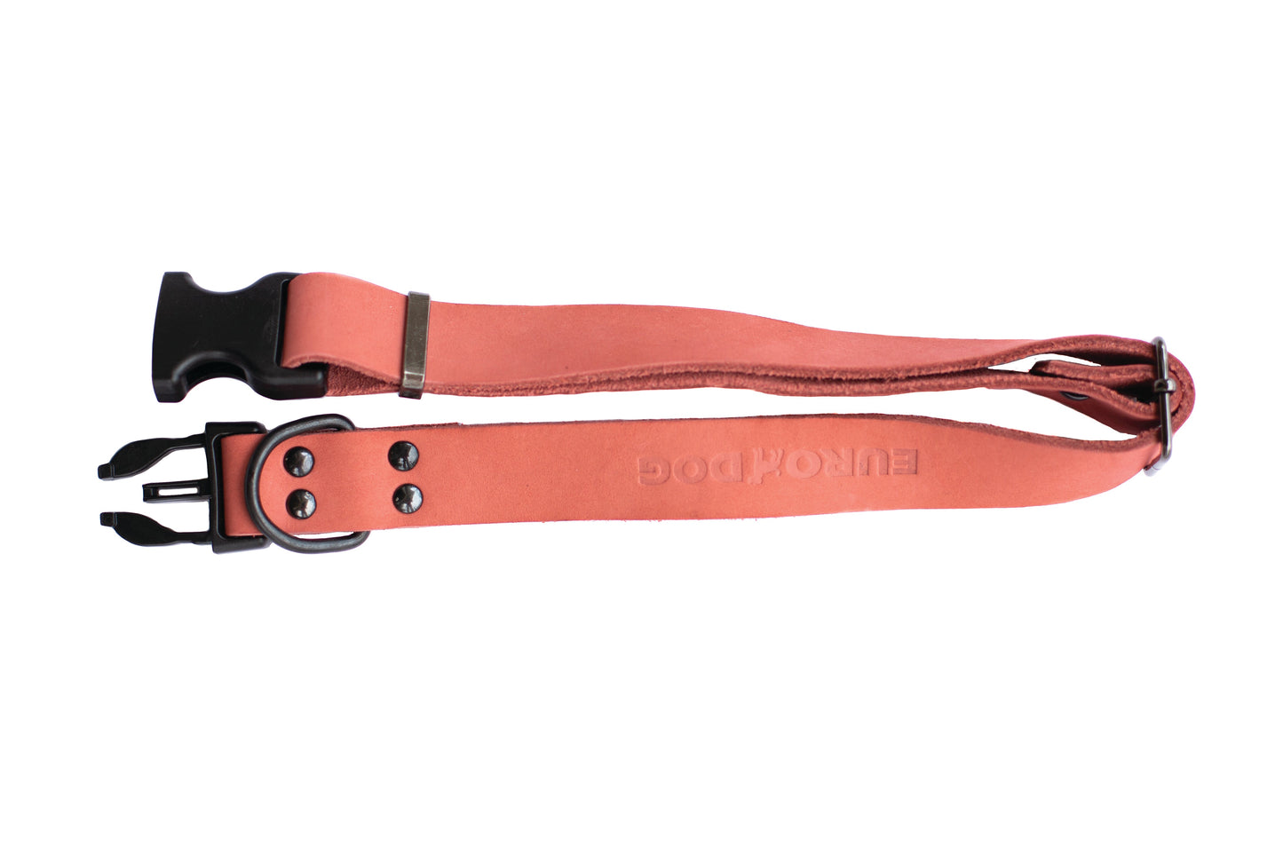 Sport Style Coral Reef Leather Dog Collar Euro-Dog Collars and Leads