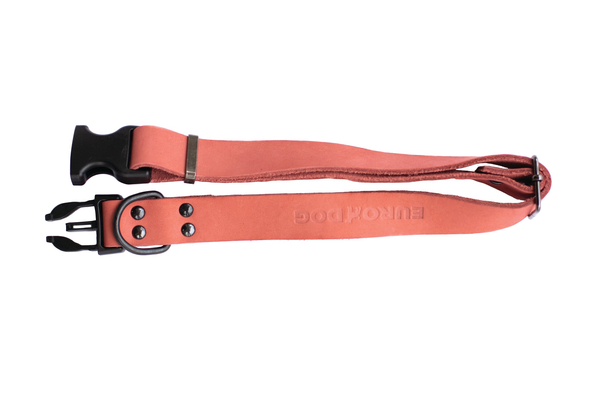 Sport Style Coral Reef Leather Dog Collar Euro-Dog Collars and Leads
