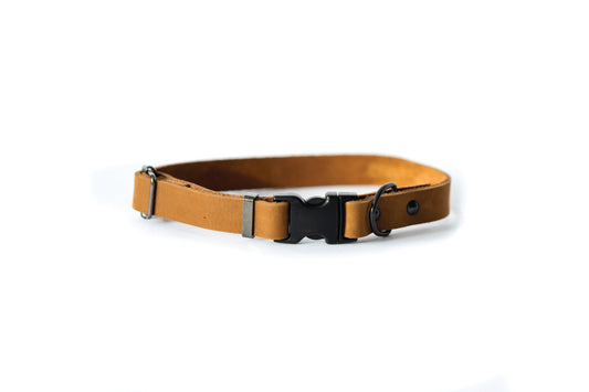 Sport Style Earth Brown Leather Dog Collar Euro-Dog Collars and Leads