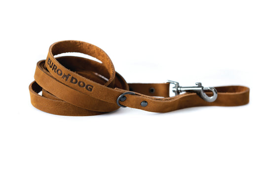 Sport Style Earth Brown Leather Leash Euro-Dog Collars and Leads