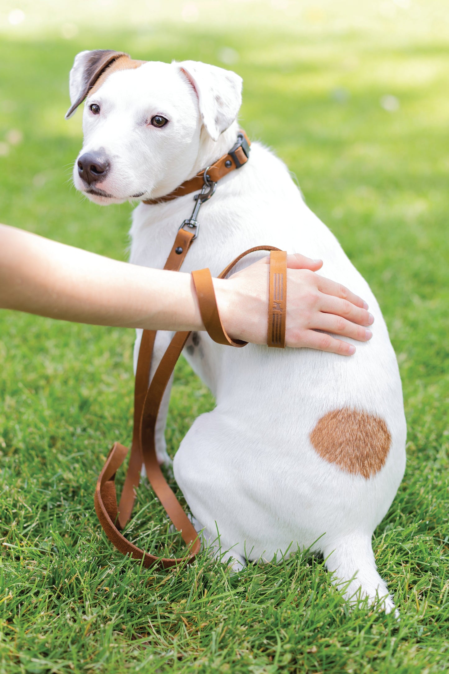 Sport Style Earth Brown Leather Leash Euro-Dog Collars and Leads
