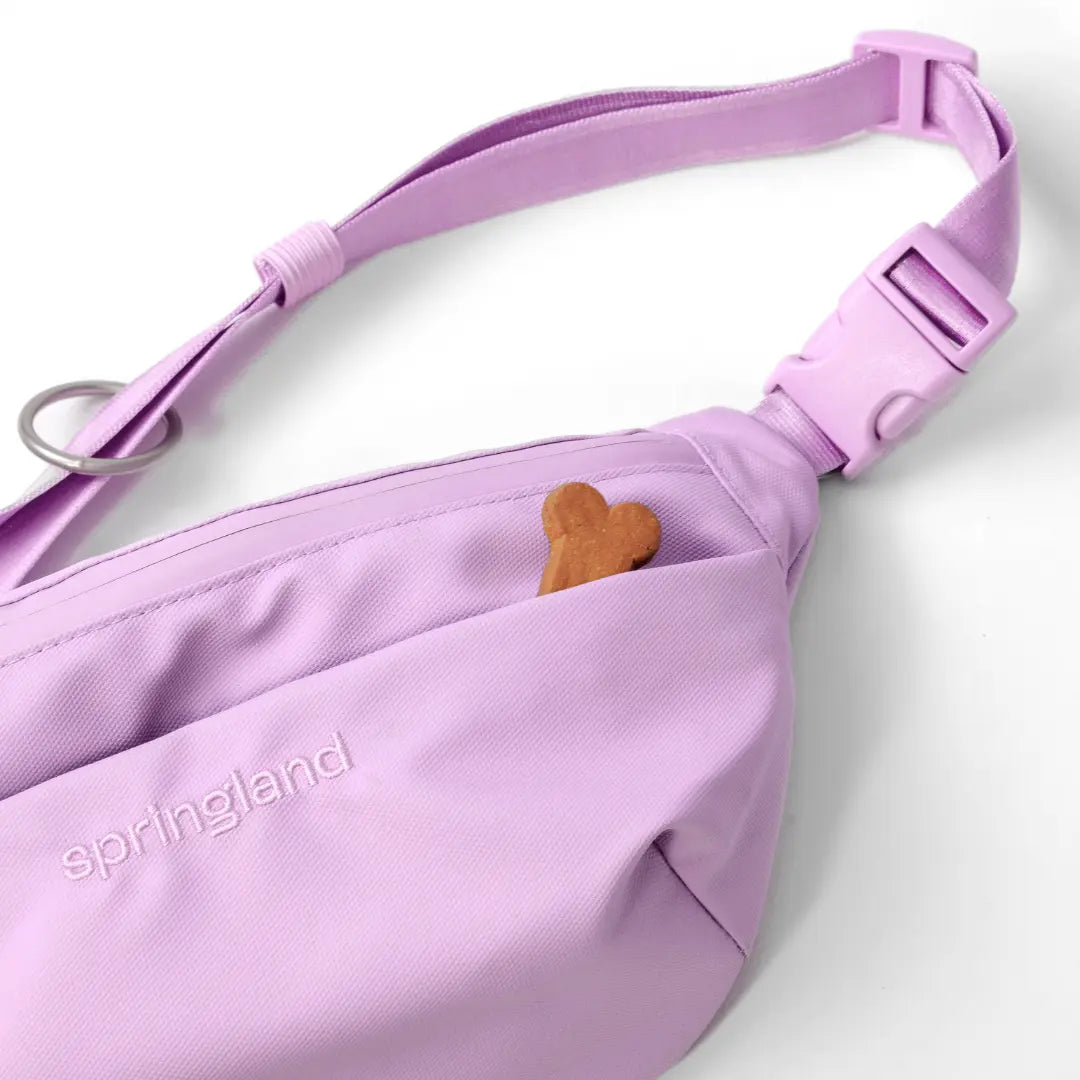 Hands-Free Dog Walking Bag with 4ft Leash Springland Pets