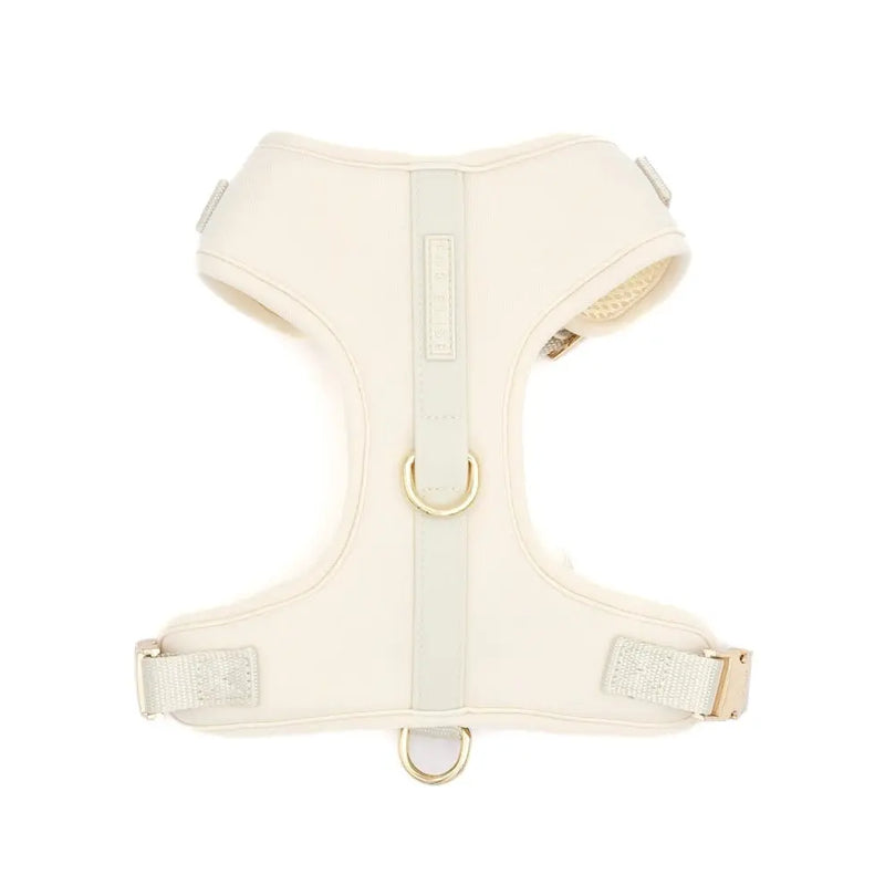 The Ultimate Walk Set - Bone