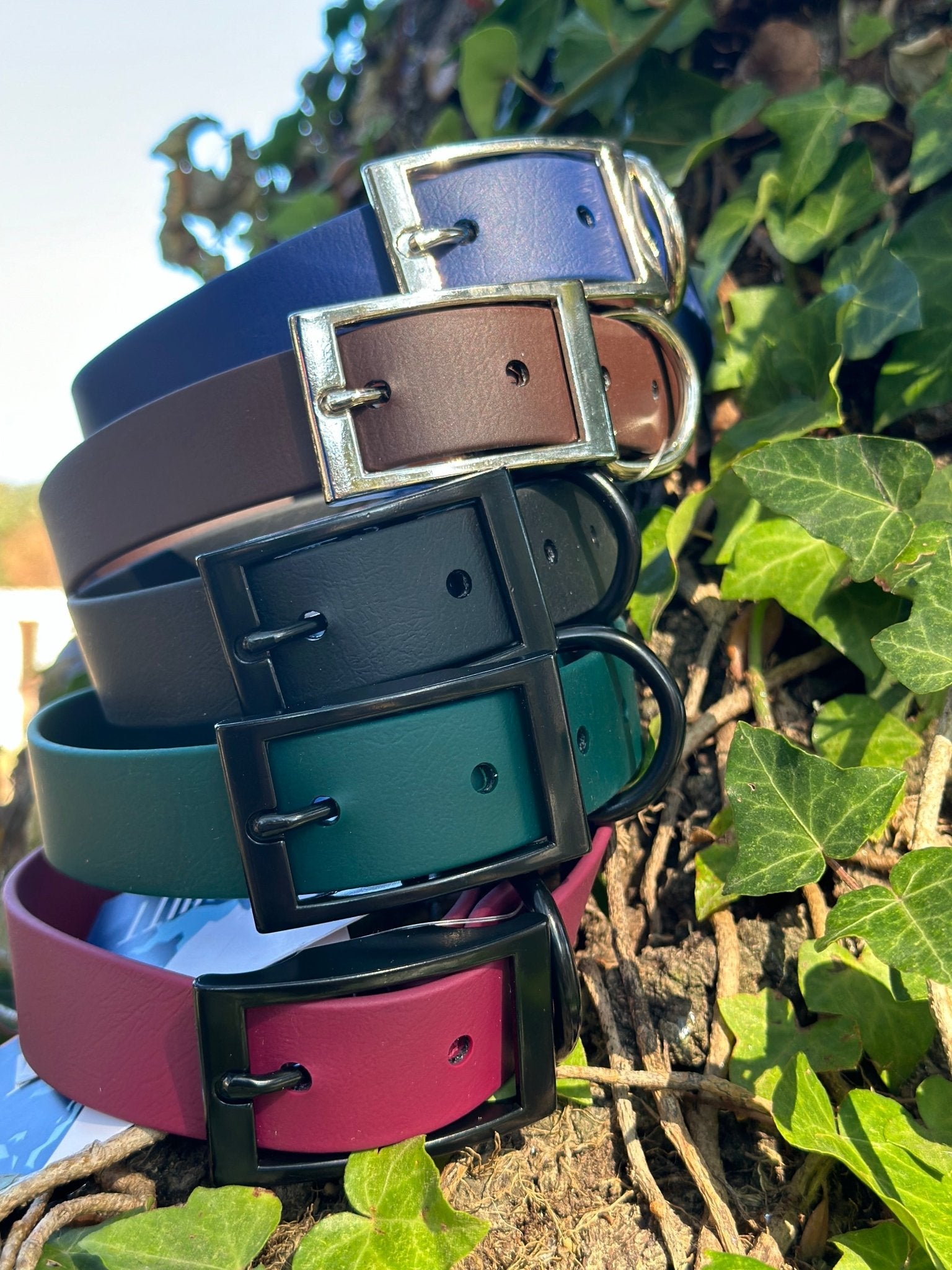 1 in Flat Collars *