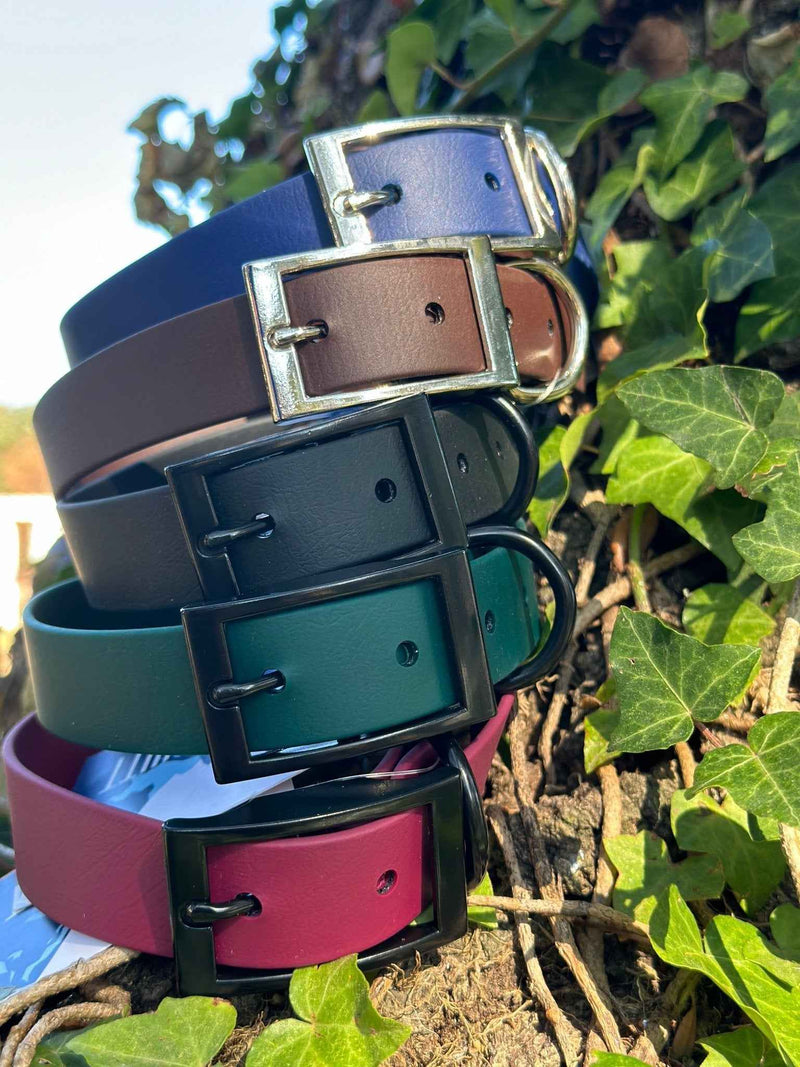 1 in Flat Collars *