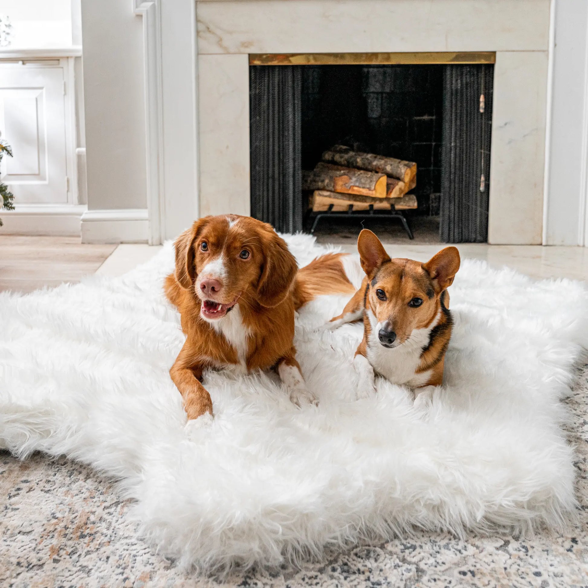 PupRug™ Animal Print Memory Foam Dog Bed - Polar Bear Faux Hide Paw.com