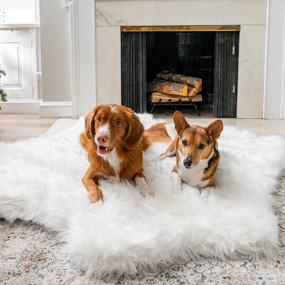 PupRug™ Animal Print Memory Foam Dog Bed - Polar Bear Faux Hide Paw.com