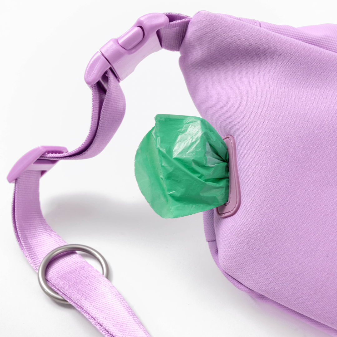 Hands-Free Dog Walking Bag