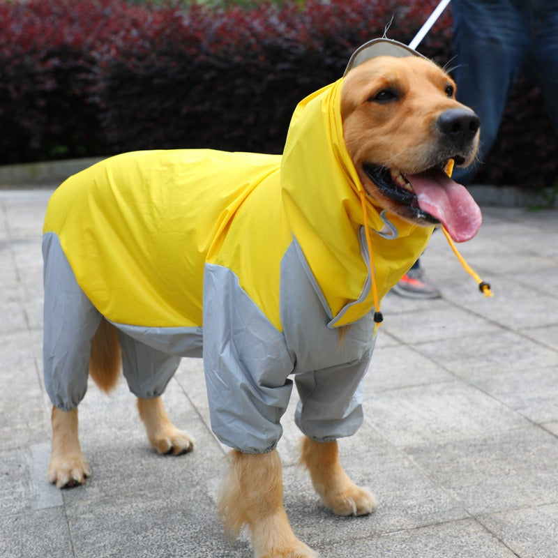 Pet dog raincoat, dog clothing processing, clothing and clothing, big dog raincoat, four legged golden fur, large dog