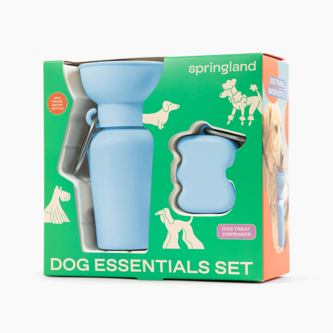 Dog Essentials Gift Box Set