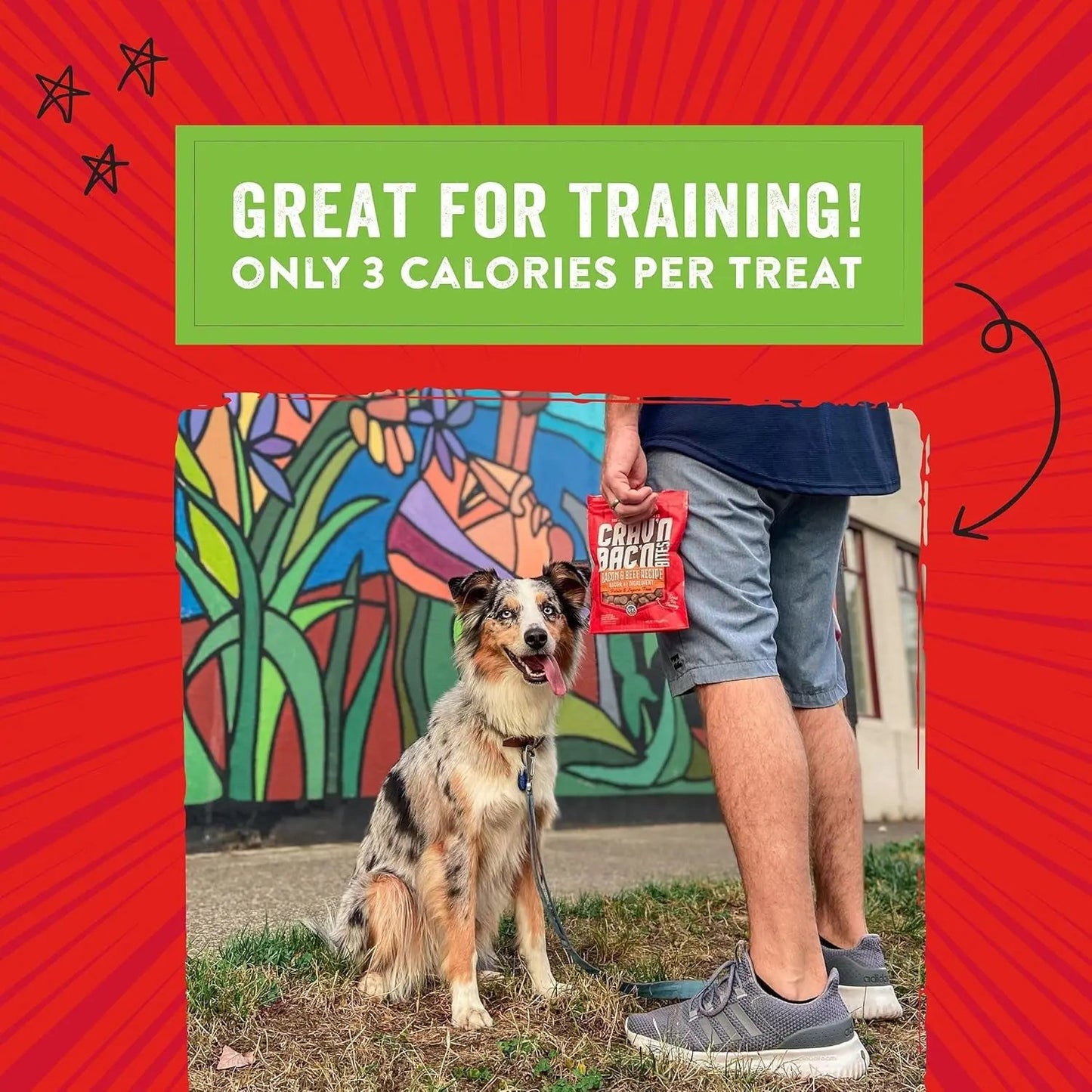 Training Dog Treats - Crav'N Bac'N Soft Bacon & Duck Bites - Premium USA Made - Low Calorie Rewards - 8.25Oz