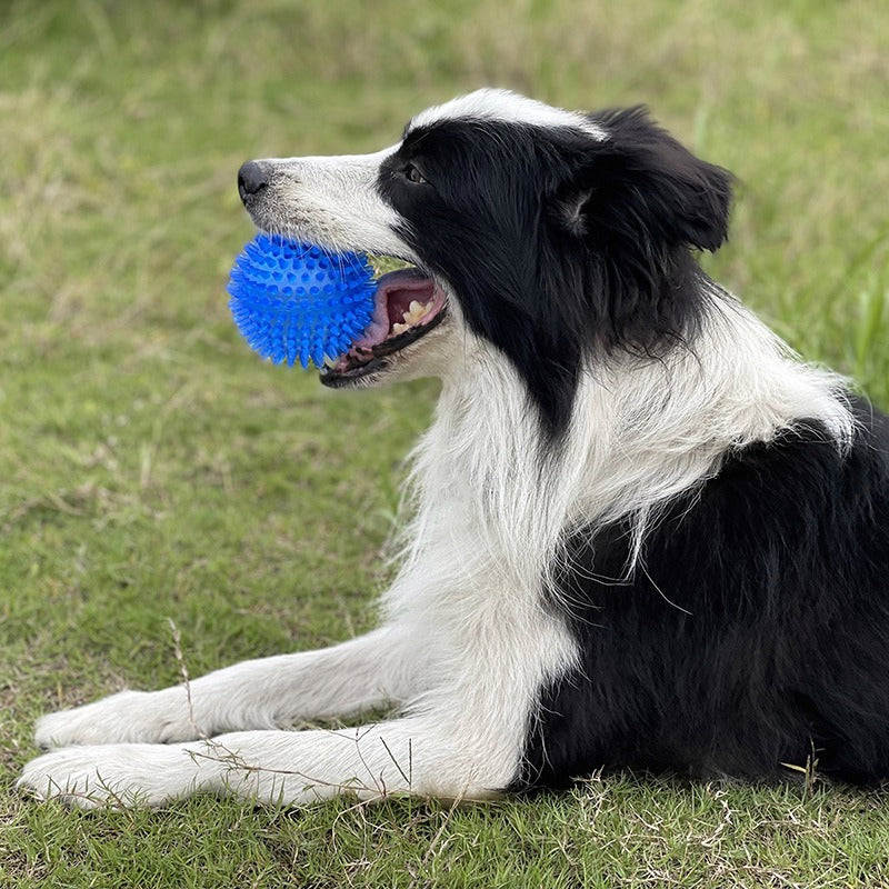 Dog Toy Medium Spike Ball Dog Toy 9CM Sound Pet Teeth Grinding Toy Medium Dog