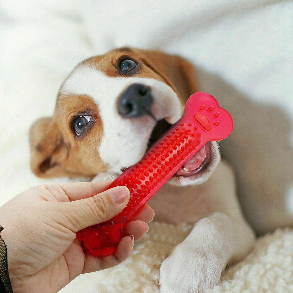 Hot Sale Durable Dog Chew Toys Rubber Bone Toy Aggressive Chewers Dog Toothbrush Doggy Puppy Dental Care For Dog Pet Accessories