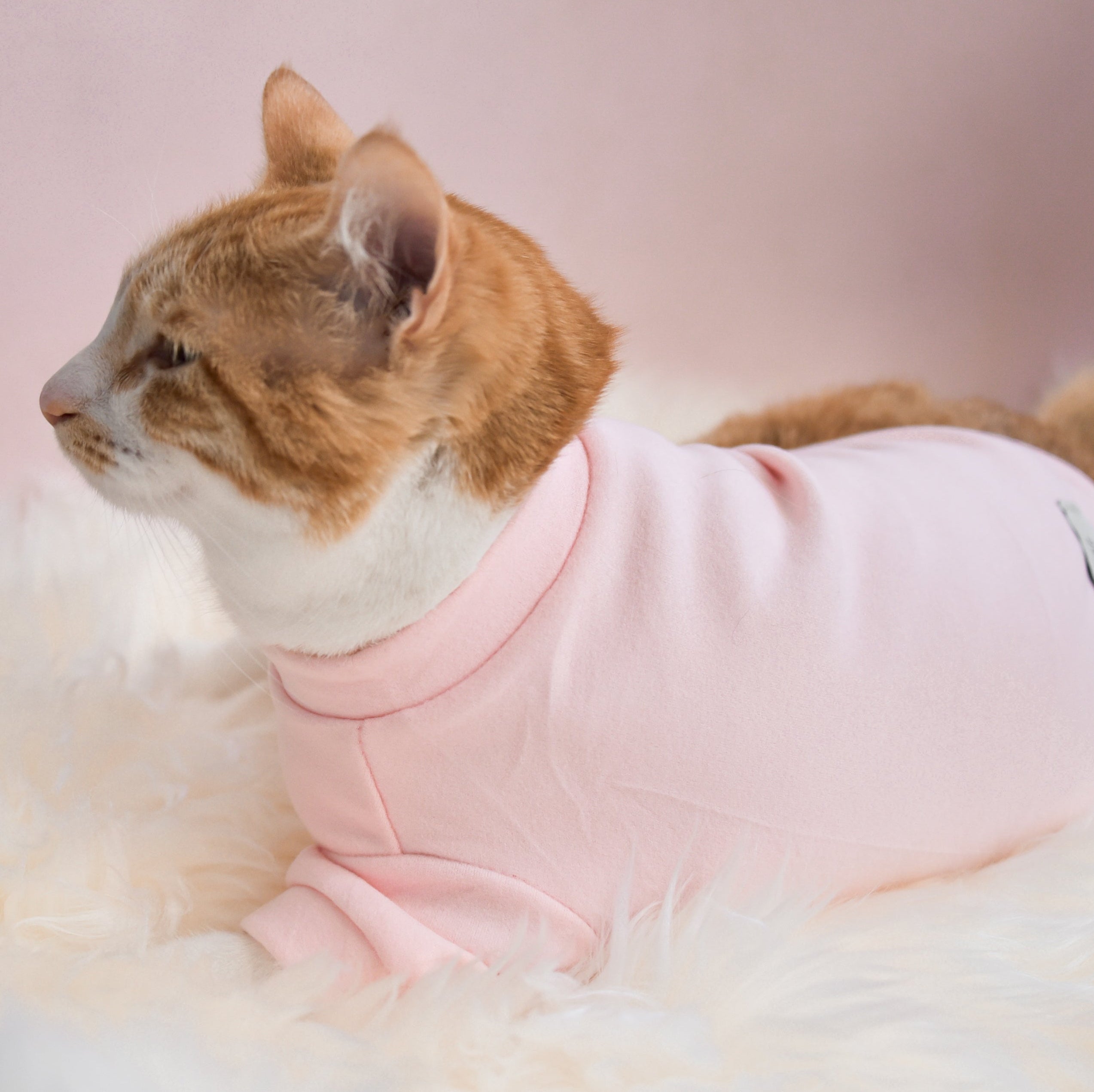 Fur Elise Spoiled Mock Neck Shirt - Blush