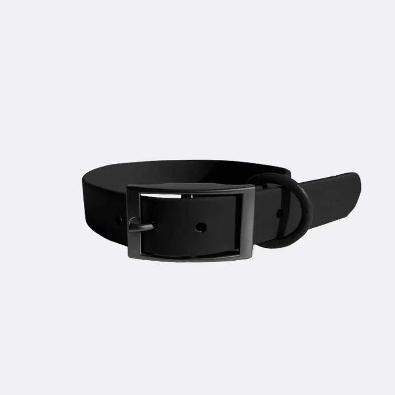 Everyday Collar - K9 Outdoors