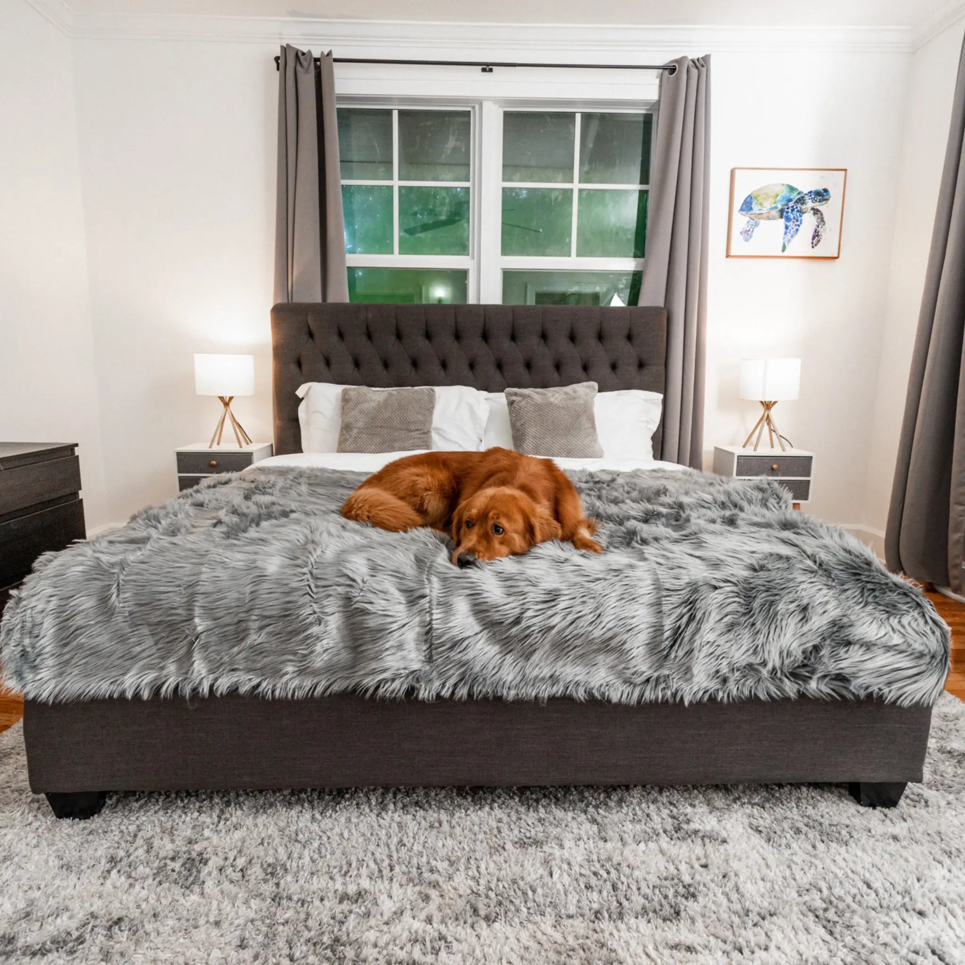PupCloud™ Human-Size Dog Bed + Matching Waterproof Blanket Bundle - Charcoal Grey Paw.com