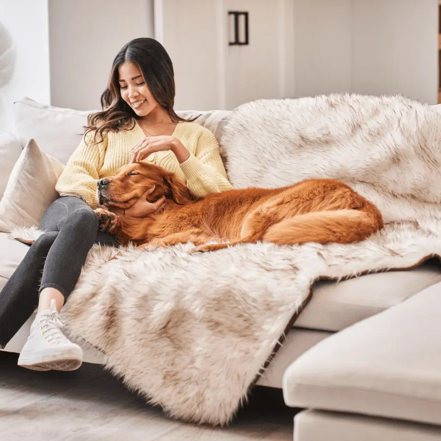PupProtector™ Waterproof Throw Blanket - White with Brown Accents Paw.com