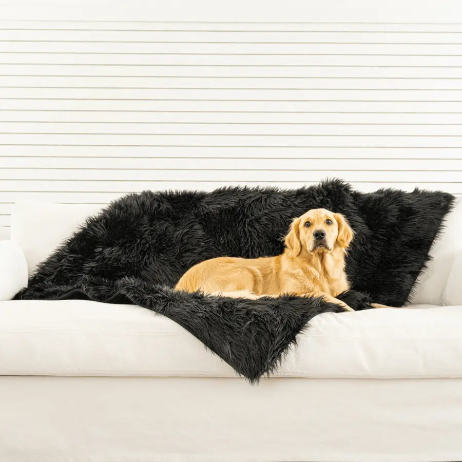 PupProtector™ Waterproof Throw Blanket - Midnight Black Paw.com