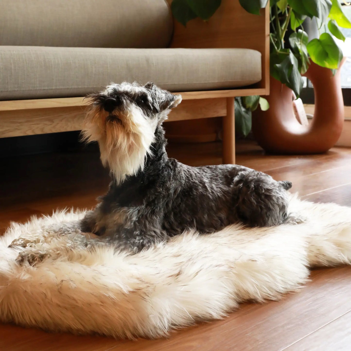 PupRug by Paw.com™ Faux Fur Orthopedic Dog Bed - Curve White with Brown Accents Paw.com