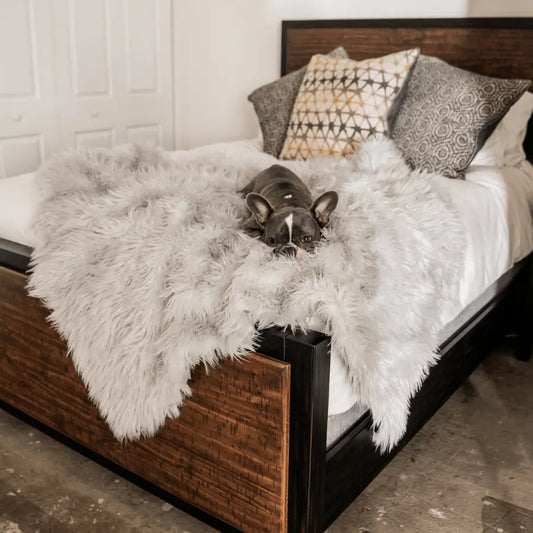 PupProtector™ Waterproof Throw Blanket - Grey Paw.com