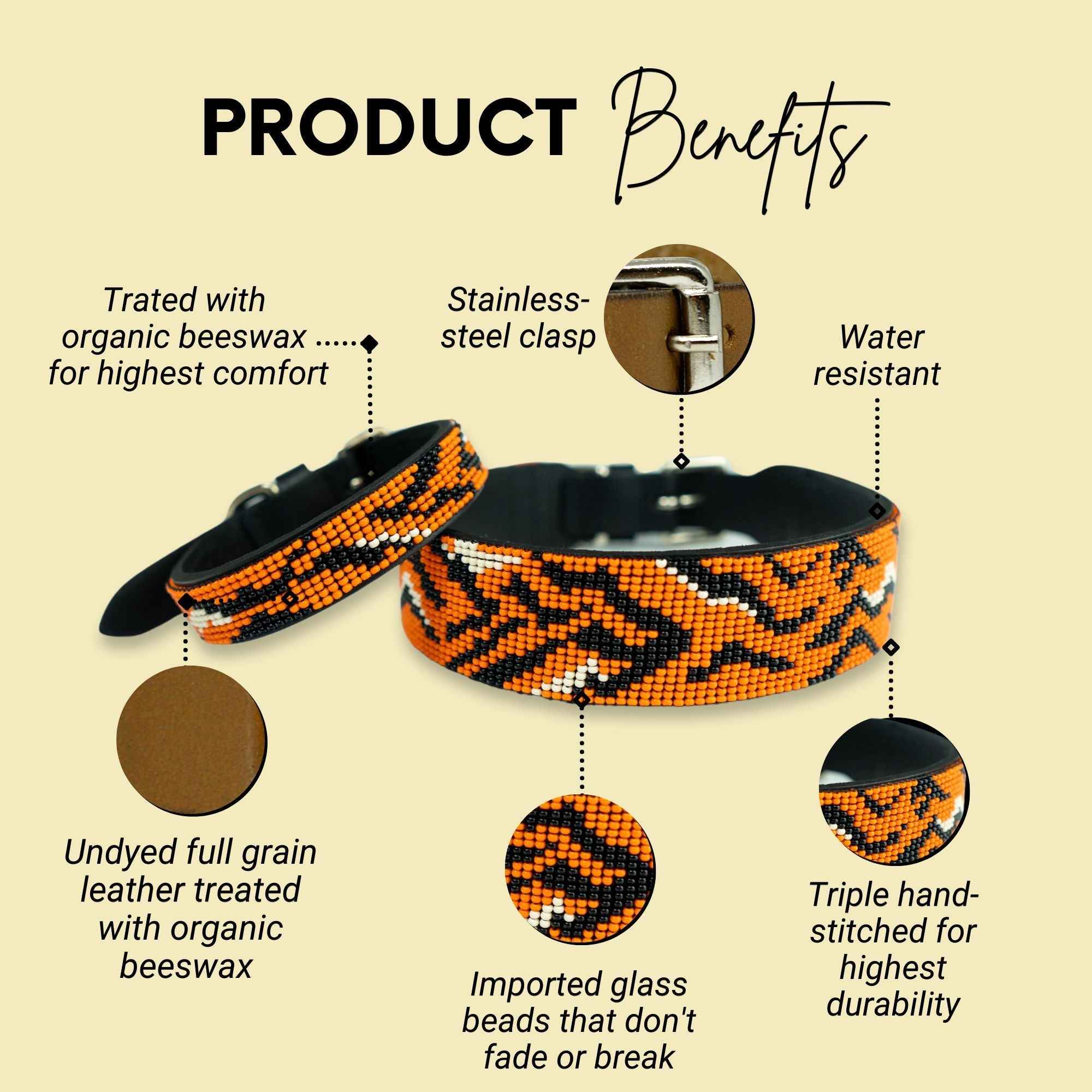 Tiger Sambboho dog collar (animal print collection)