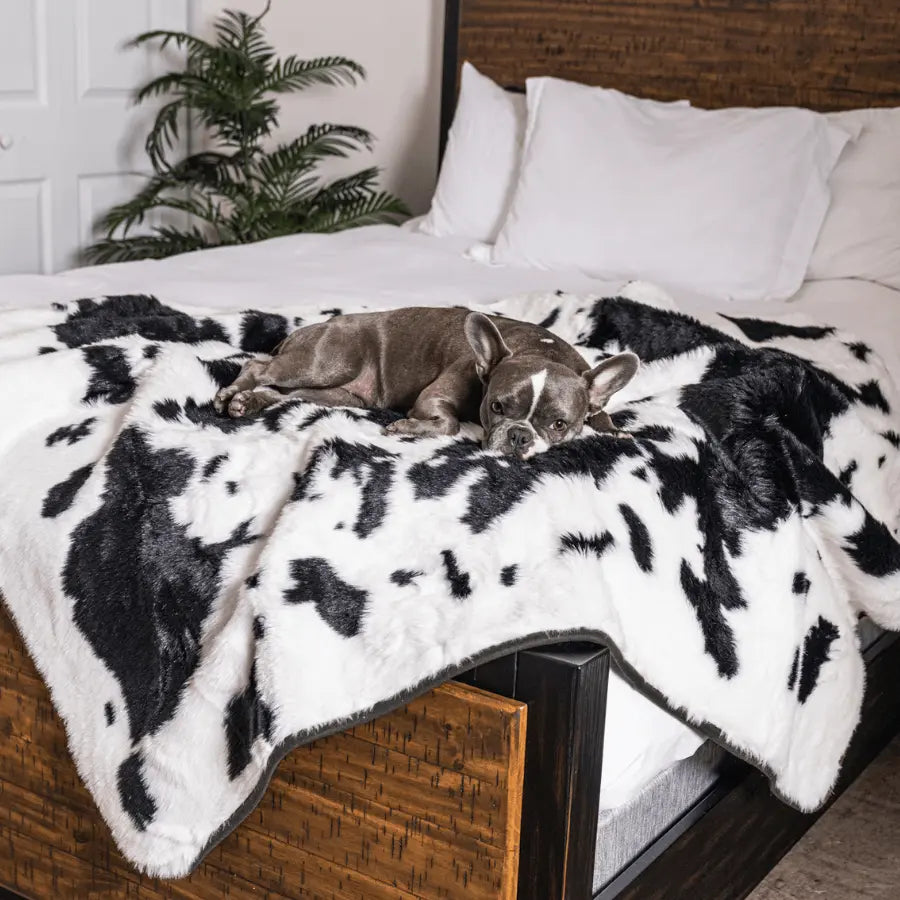 PupProtector™ Waterproof Throw Blanket - Black Faux Cowhide Paw.com