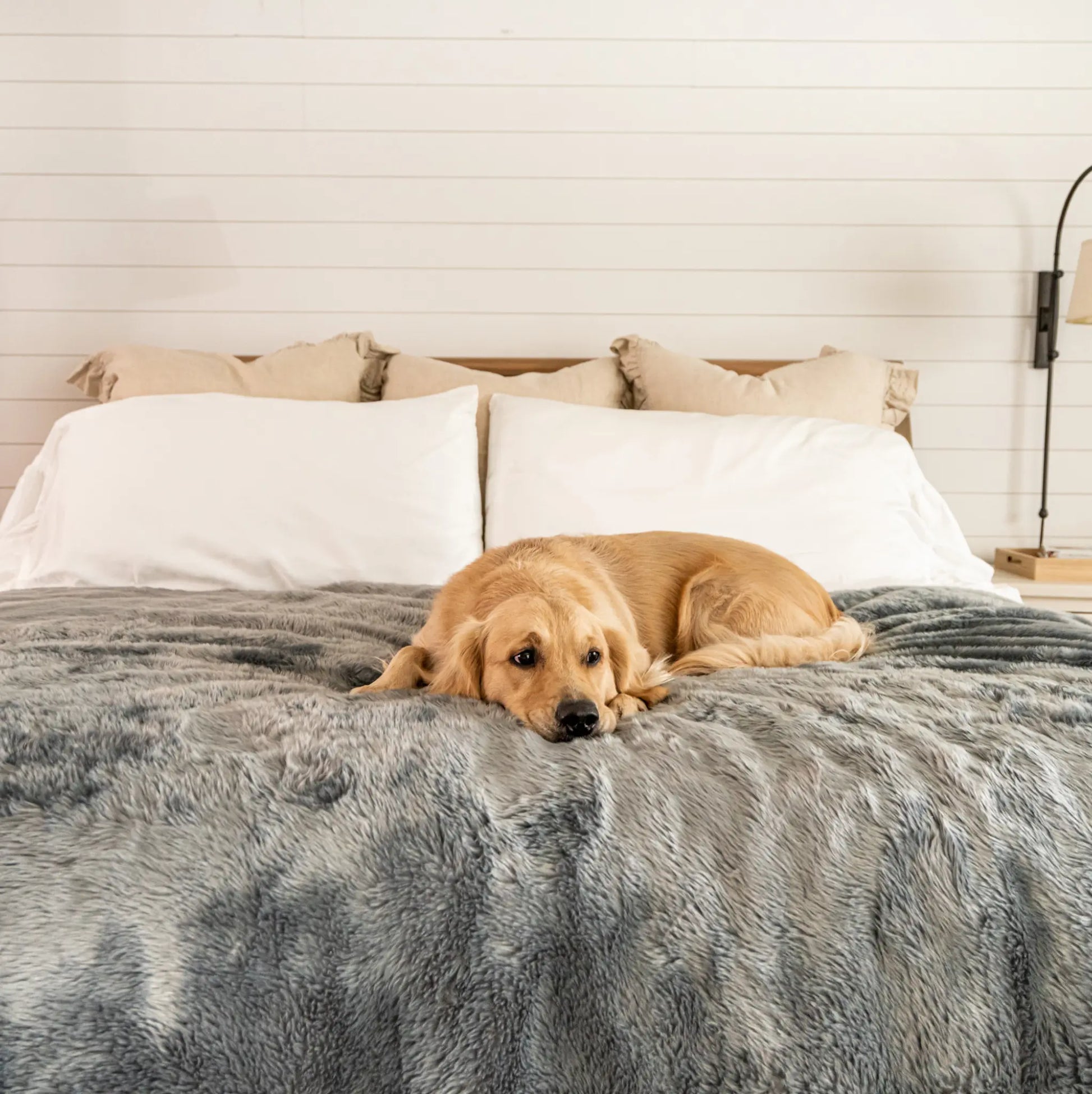 PupProtector™ Summer Short Fur Waterproof Throw Blanket - Charcoal Grey Paw.com