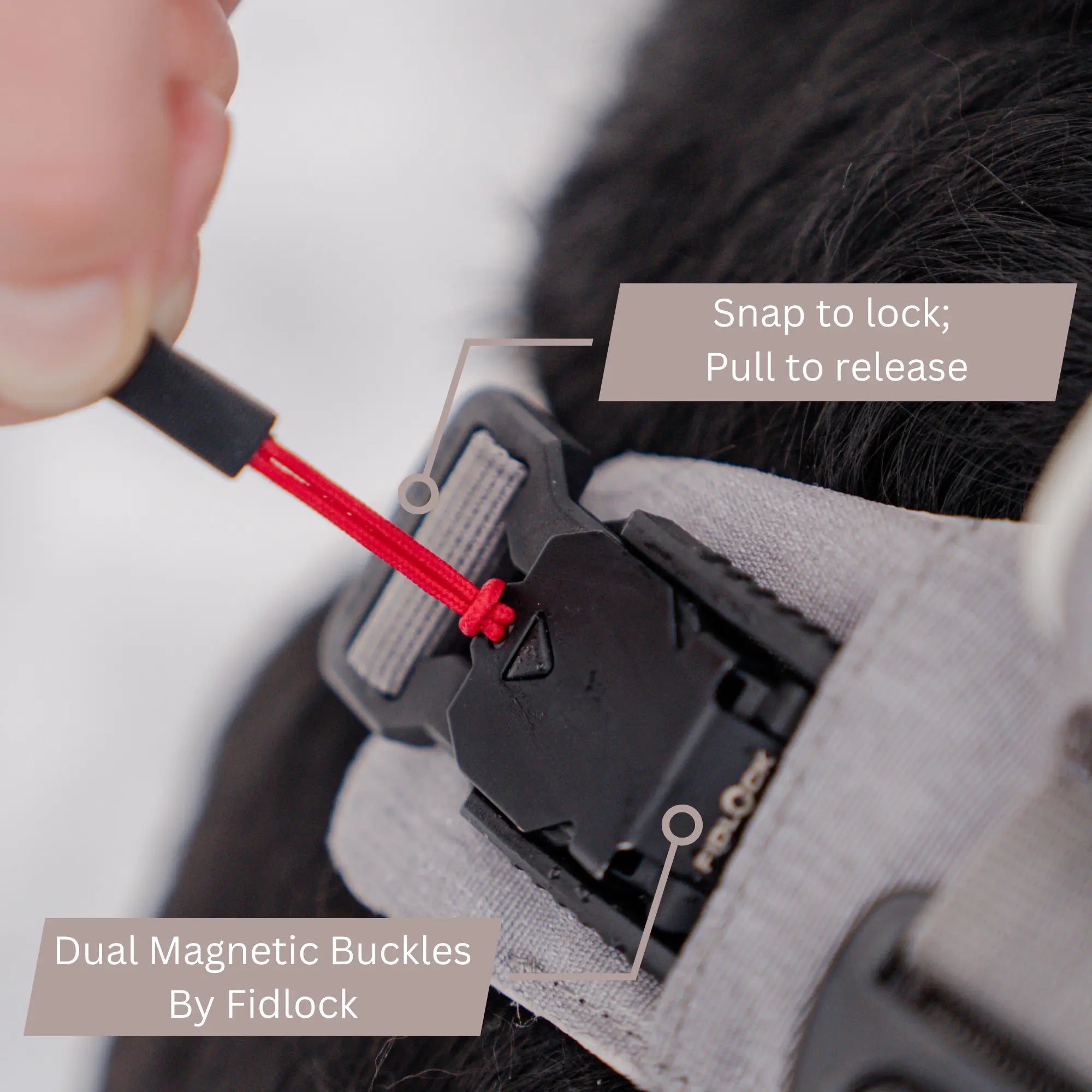 Magnetic Dog Harness - One-Hand Clip, No-Pull Design Up Dog Shop