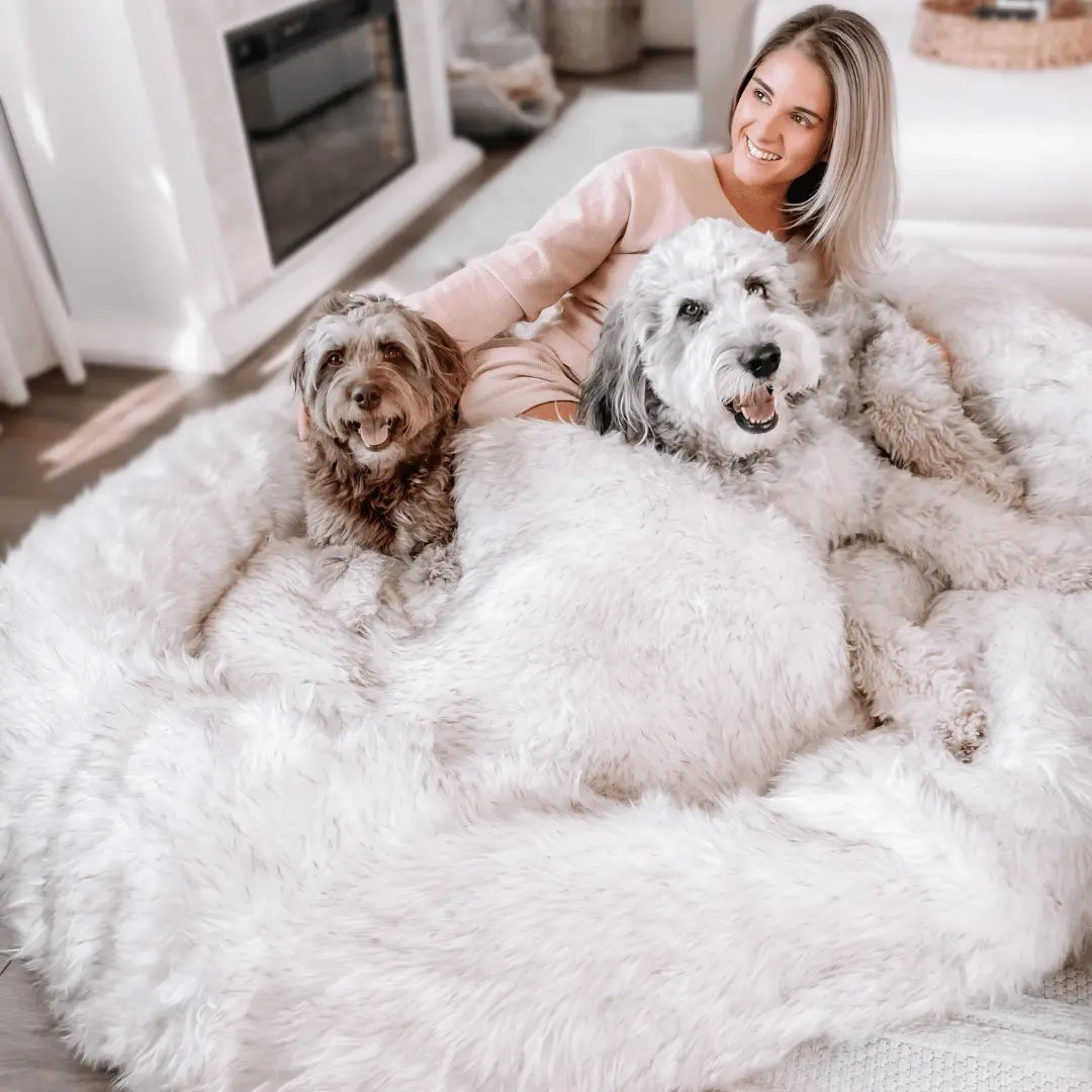 PupCloud™ Human-Size Faux Fur Memory Foam Dog Bed - White with Brown Accents Paw.com