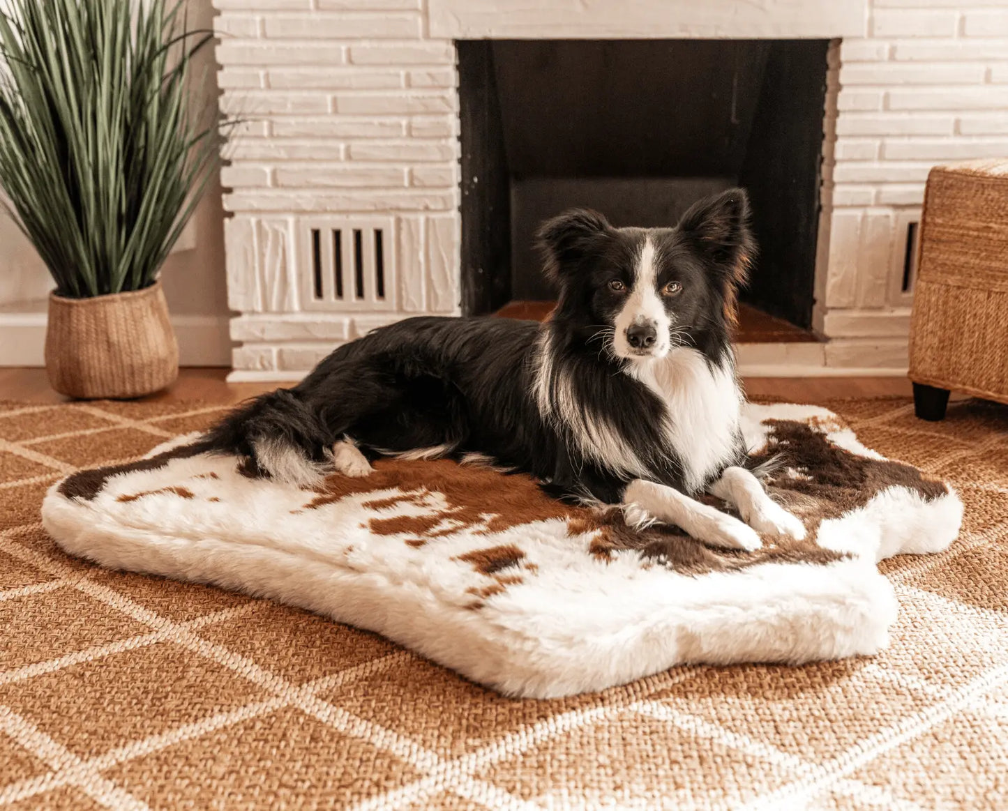 PupRug™ Animal Print Memory Foam Dog Bed - Brown Faux Cowhide Paw.com