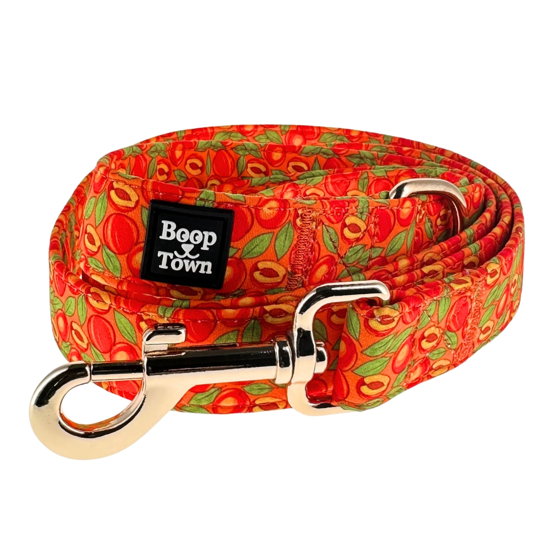 Boop Town 5ft Soft Cotton Dog Leashes with Metal Hardware