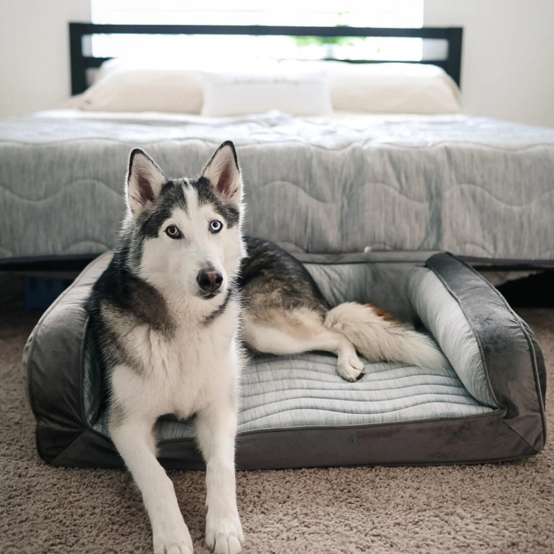 PupChill™ Cooling Bolster Dog Bed + Waterproof Blanket Bundle - Arctic Grey Paw.com