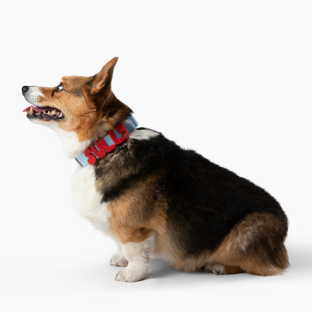Waterproof Dog Collar