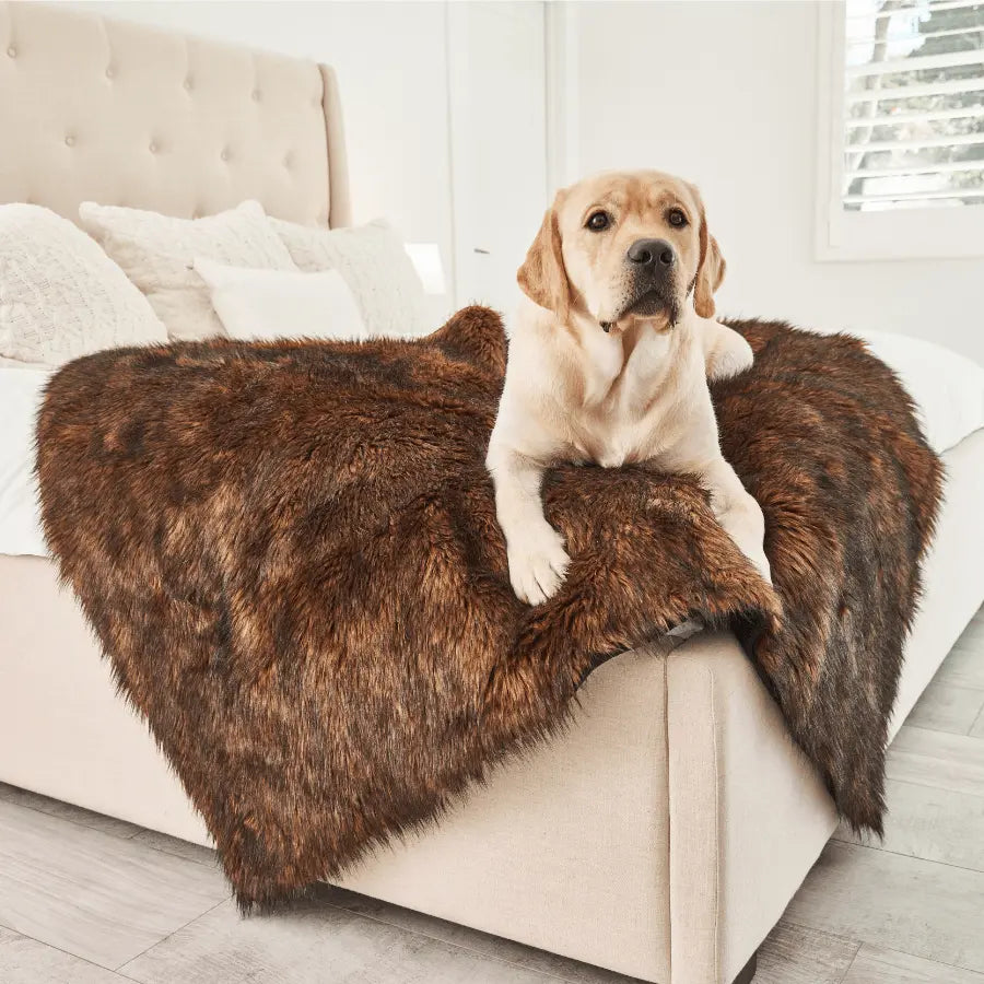 PupProtector™ Waterproof Throw Blanket - Brown Paw.com