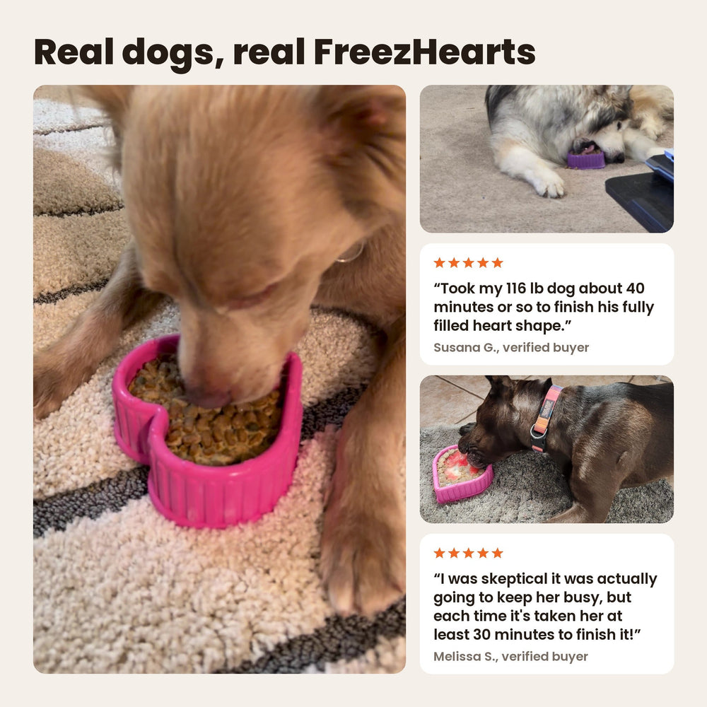 FreezHeart - Durable Heart Enrichment Chew