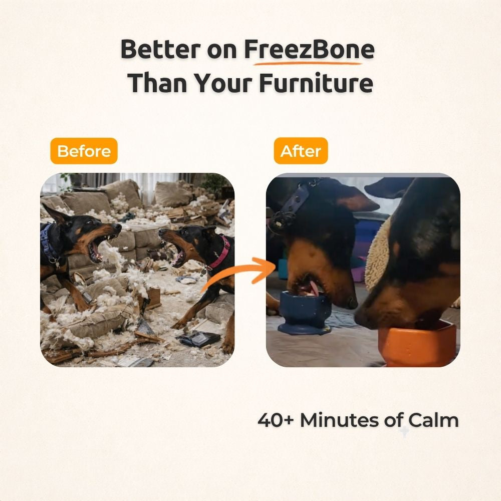 FreezCup - Long-Lasting Chew Fun