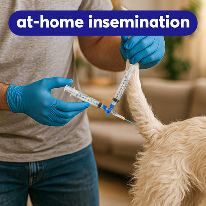 3-Way Canine Breeding Kit – Complete Set for Semen Collection and Insemination with Collection Cones, Insemination Rods, Syringes, Tubes, Gloves, Valves & Lubricating Jelly Horizon Animal Care