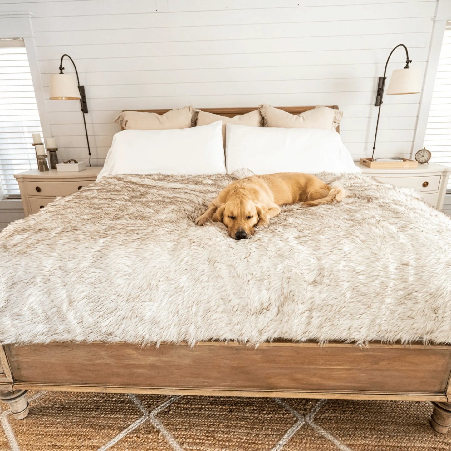 PupCloud™ Human-Size Dog Bed + Matching Waterproof Blanket Bundle - White with Brown Accents Paw.com