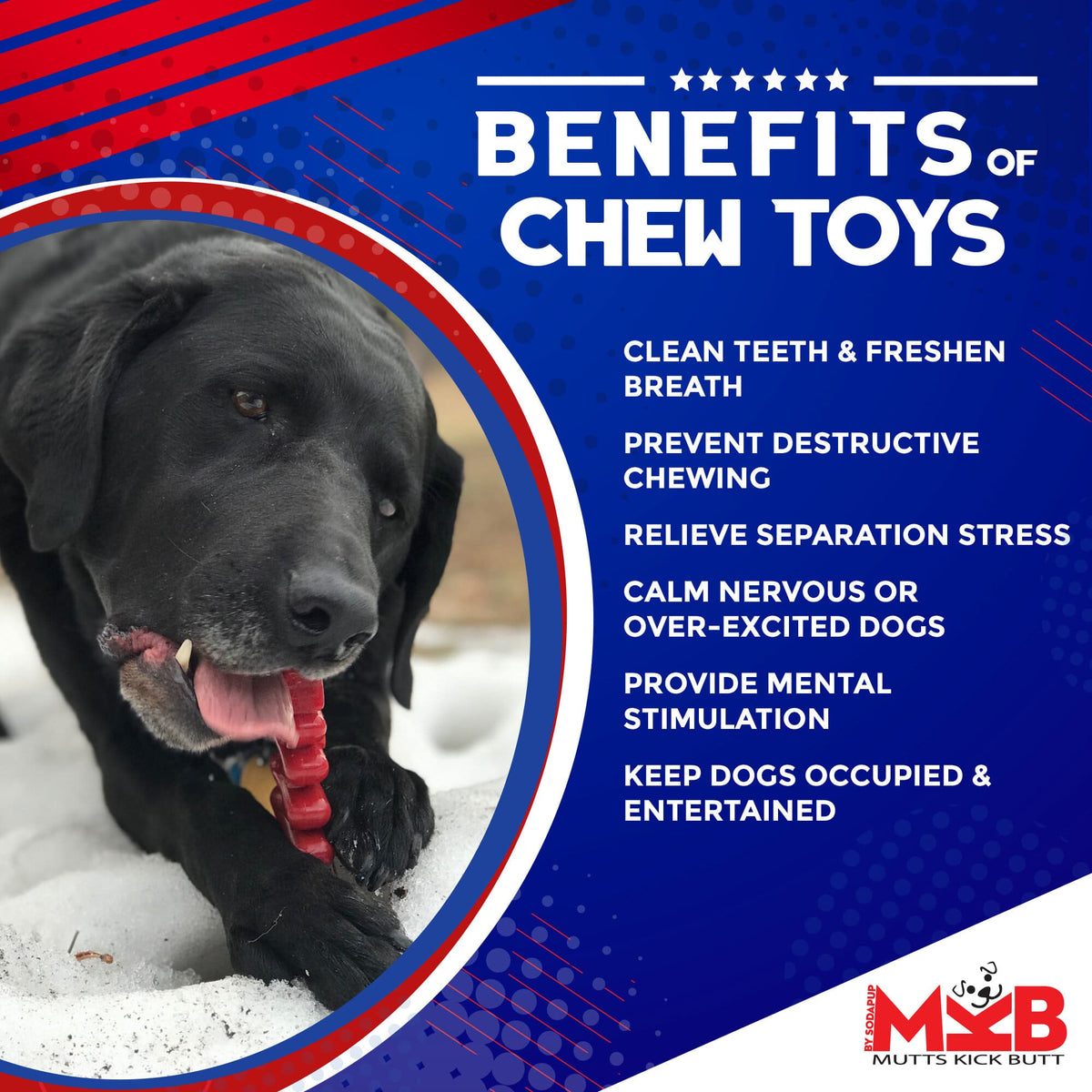 Christmas Tree Nylon Dog Chew Toy for Aggressive Chewers | USA Made & FDA Compliant by SodaPup/True Dogs, LLC