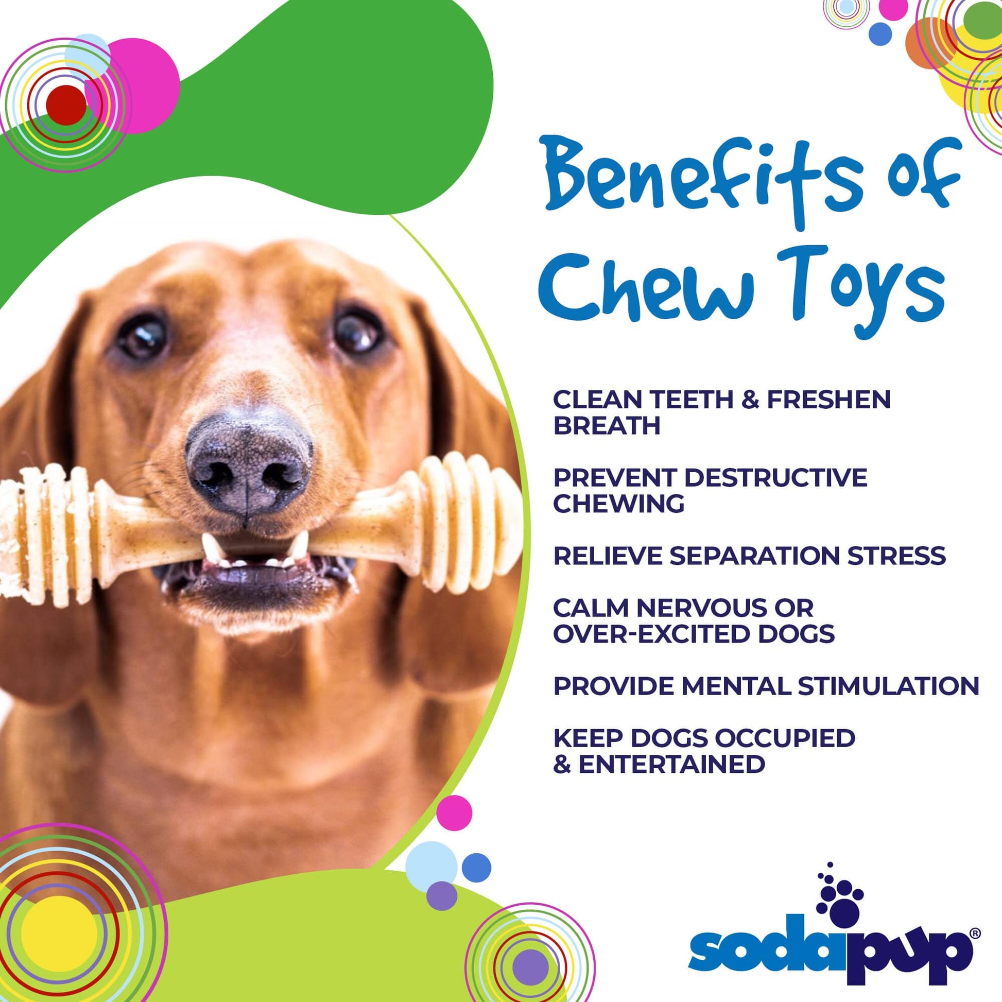 Honey Bone Nylon Dog Toy for Aggressive Chewers | USA Made | SodaPup